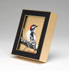 "Baby Woodpecker"