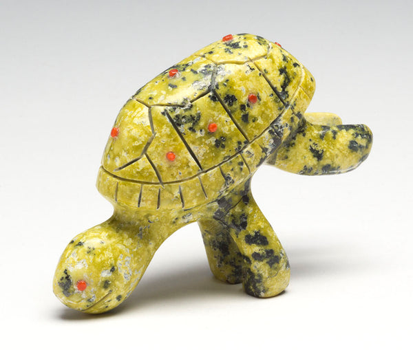 Deep-Diving Turtle