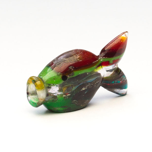 Kissing Gourami Fish