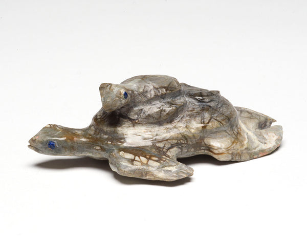 Azurite-Eyed Mother Turtle & Hatchling