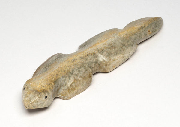 Chasing Your Dreams Lizard