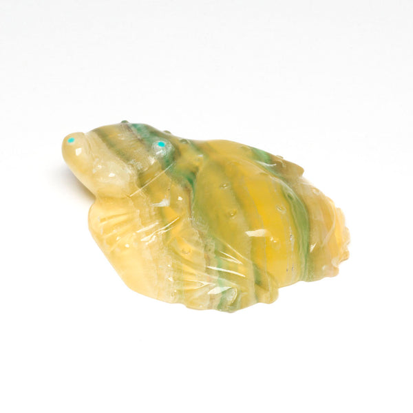 Rainbow Fluorite Frog