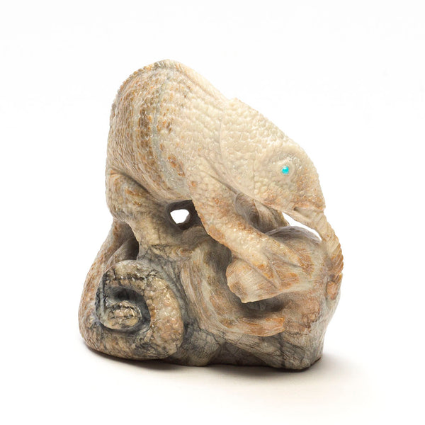 Otherwordly Chameleon