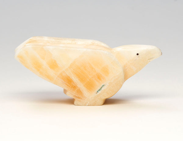 Eagle's Exceptional Vision