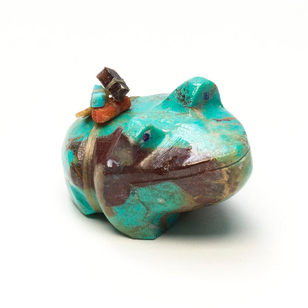 Water Bearer Frog
