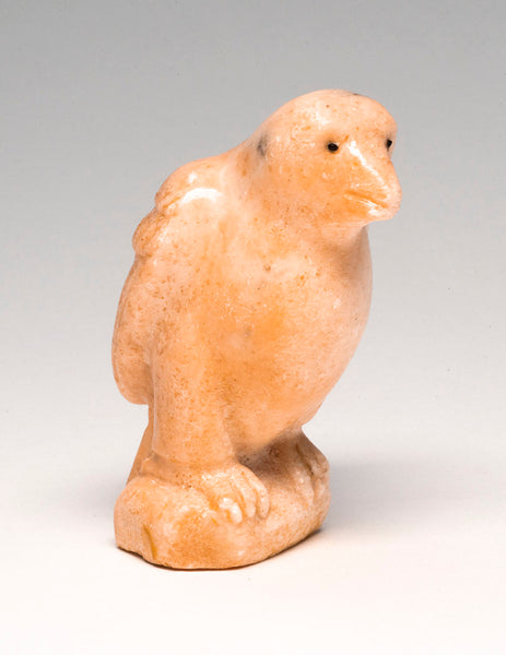 Sharp-Set Eagle Hunter