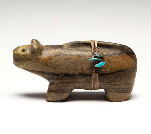 Keystone Species Mountain Lion