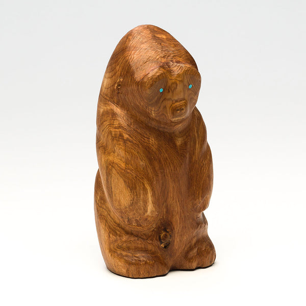 Gorilla Conservation