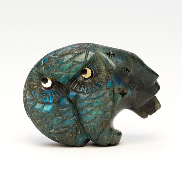 Medicine Bear & Wise Owl