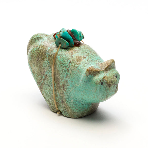 Purposeful Bushytail