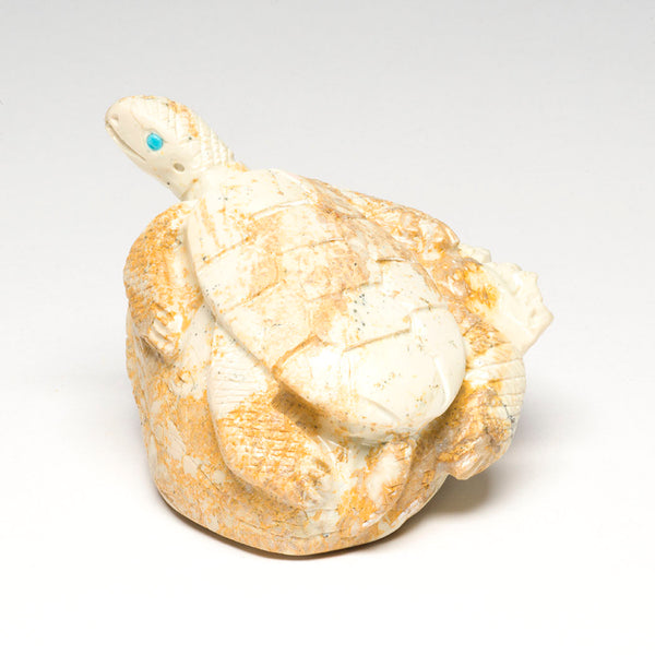 Sea Turtle & Coral Reef