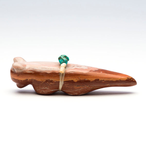 Time Traveler Mountain Lion