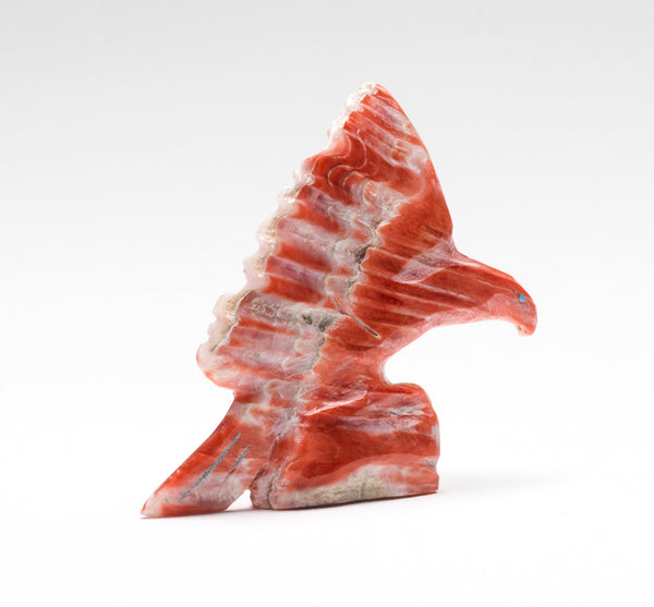 Focused Landing Eagle Keshi The Zuni Connection