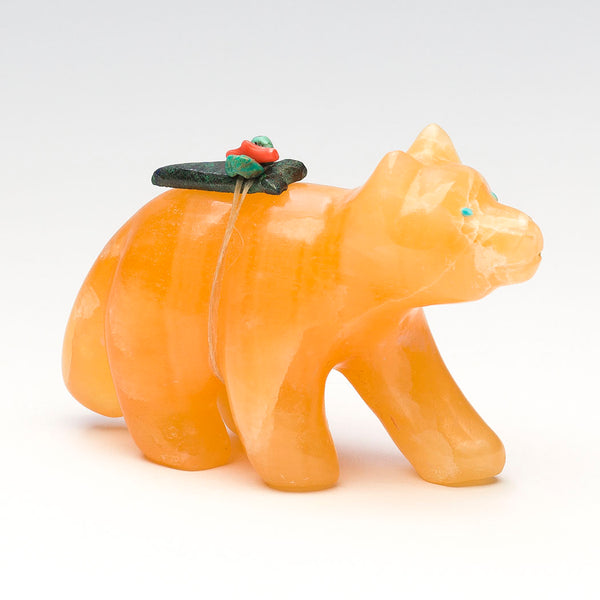 Successful Bushytail