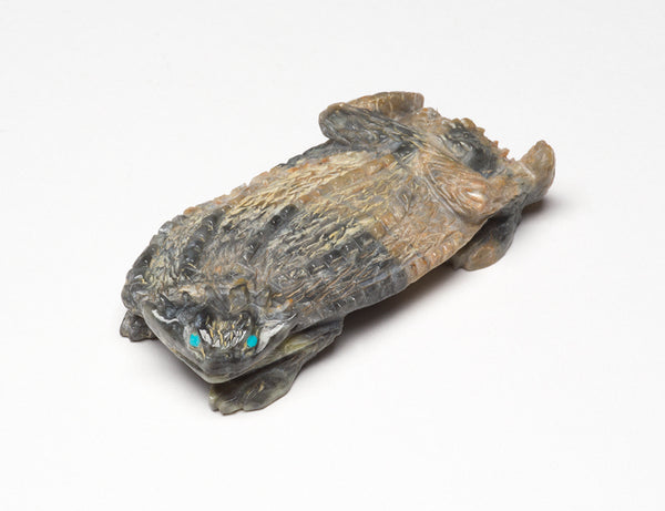 Ambush Predator Horned Lizard