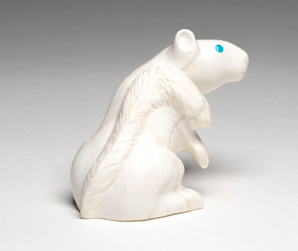 Woodland Squirrel