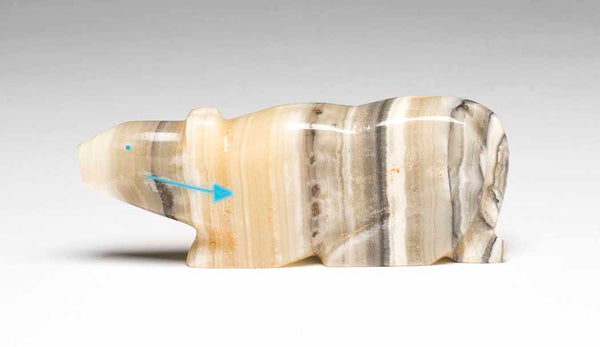 Keystone Mountain Lion