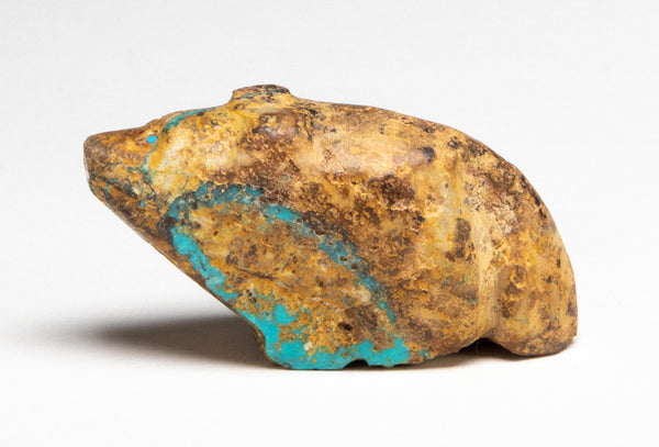 Royston Turquoise Canine