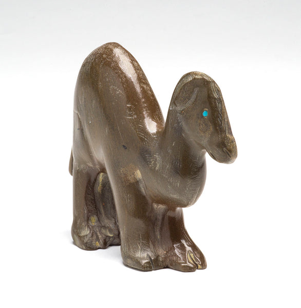 Darling Dromedary Camel