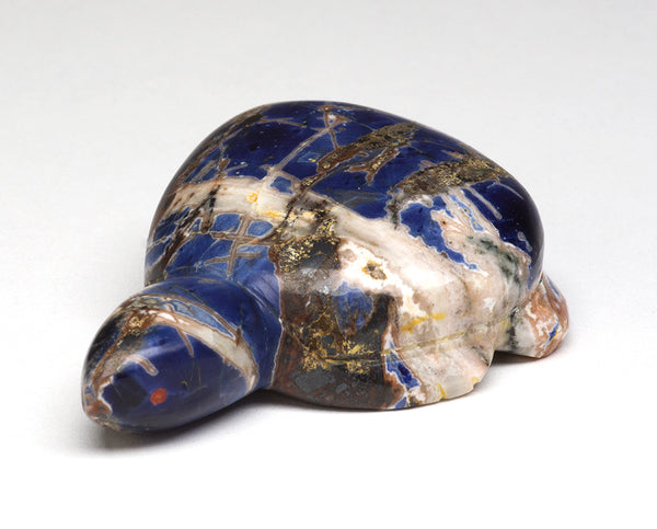 Earth Turtle