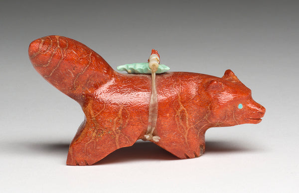 An Active Apple Coral Canine
