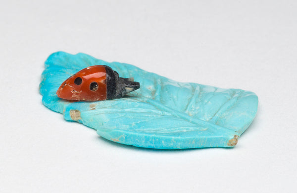 Homiladorlik vaginaga kiritilganda jinsiy olatni tushib ketadi