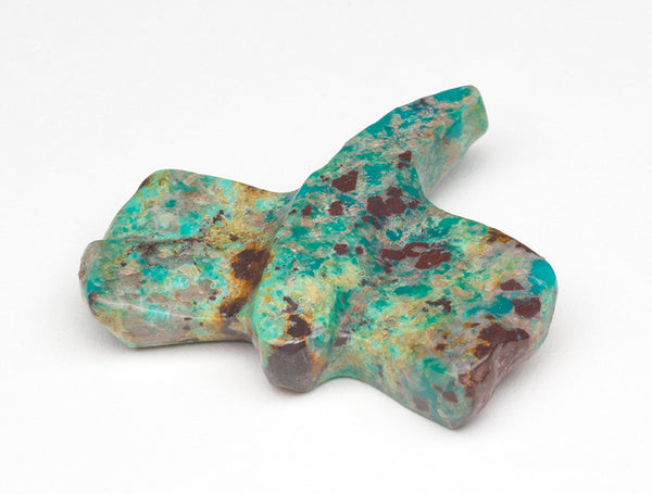 Seeing It All Dragonfly