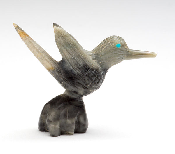 Zuni Hummingbird