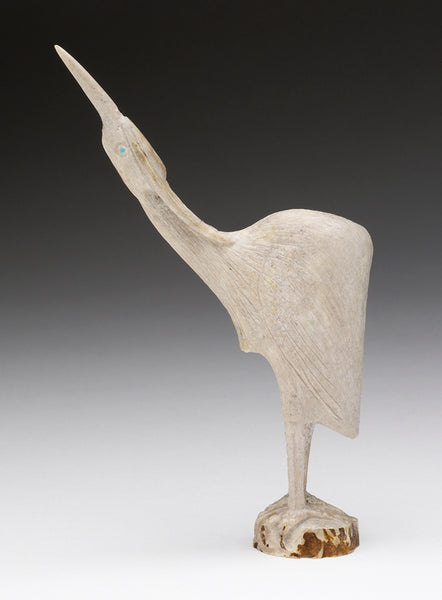 Water Bird Delights
