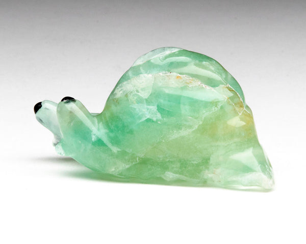 Glorious In Green Snail