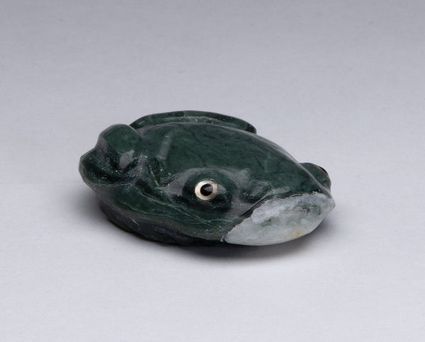 Serpentine Frog With Hidden Friend