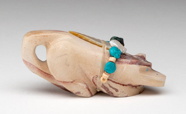 Tea Cup Tail Mountain Lion