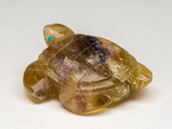 Earth Honoring Turtle