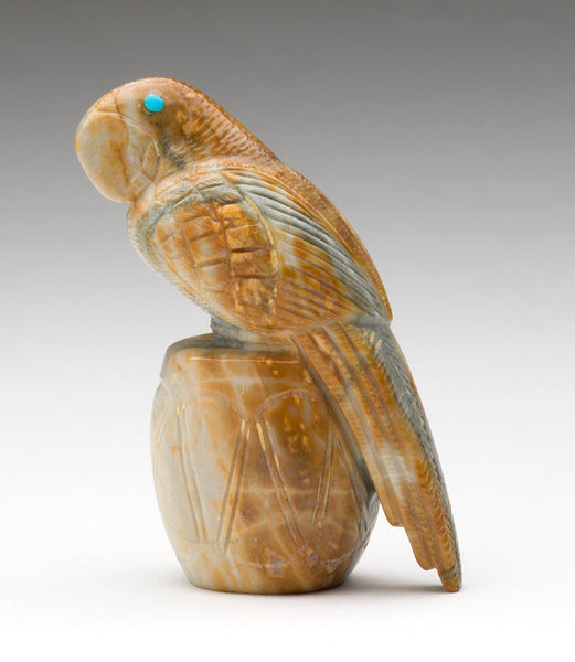 A Perched Parrot On A Drum