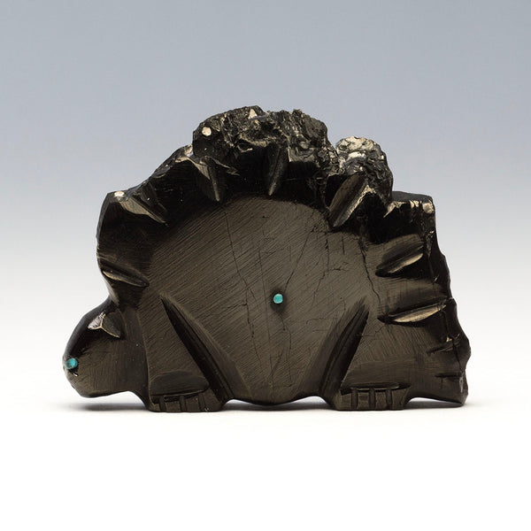 Stegosaurus Wonder