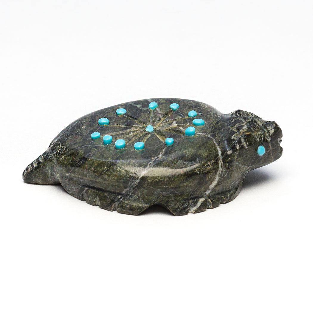 Resolute Turtle