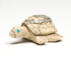 Sea Turtle Hatchling