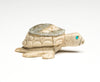Sea Turtle Hatchling