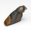 Canyon Owl