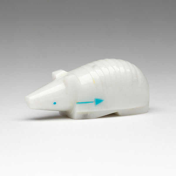 Gentle Armadillo