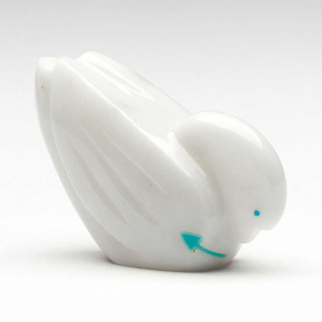 Graceful Swan