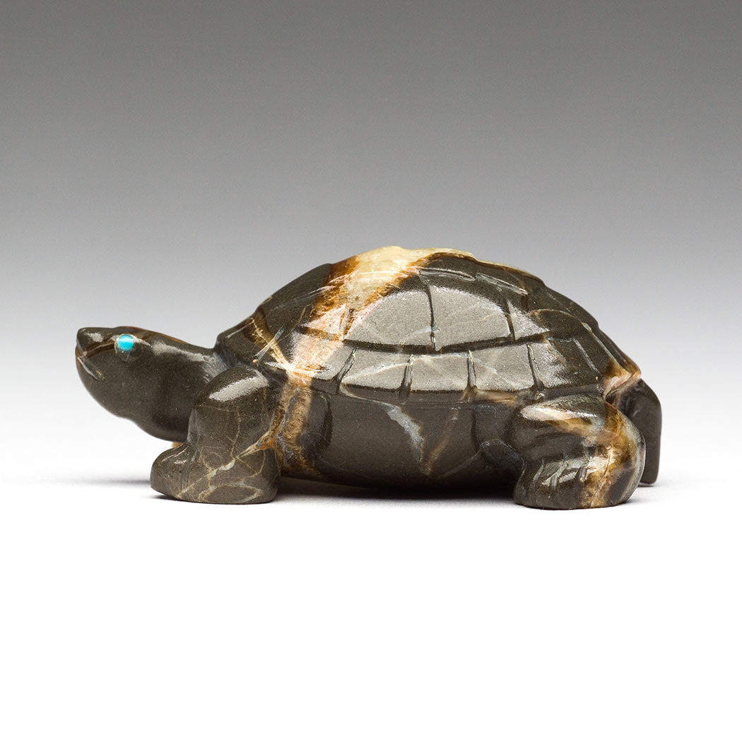 Deep Solitude Tortoise