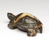 Deep Solitude Tortoise