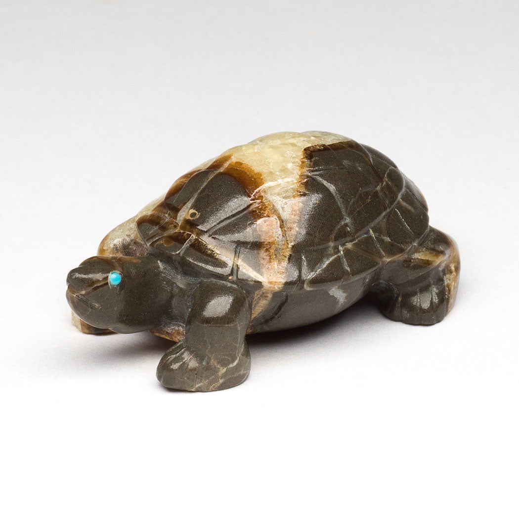 Deep Solitude Tortoise