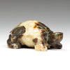 Deep Solitude Tortoise