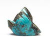 Beacon Of Hope Bluebird