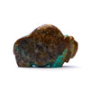 Prosperous Bison