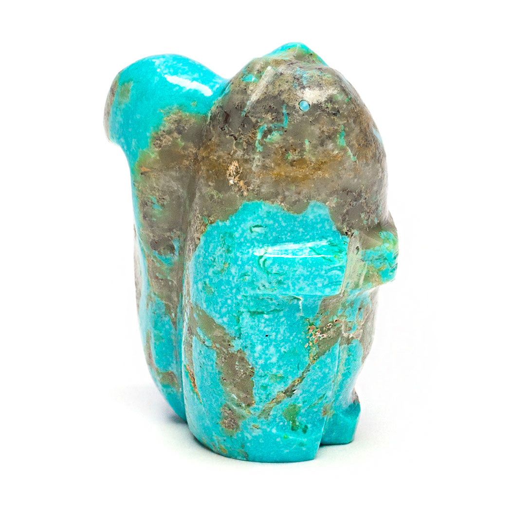 Hard Work Pays Off Squirrel