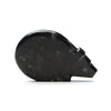 Orthoceras Medicine Bear