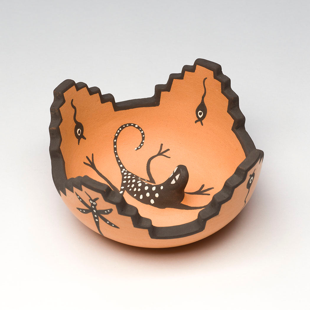 Lizard, Tadpole & Dragonfly Pottery Bowl